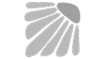 favicon-slide